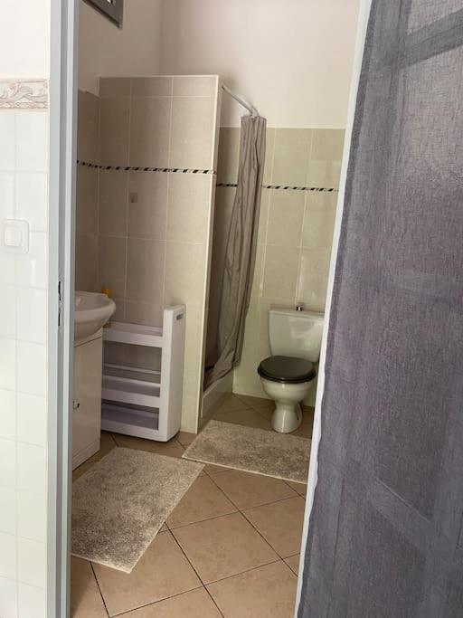 Villa Serenice - F2 Au Calme, Climatise, Wifi Et Parking Gratuit Luaran gambar