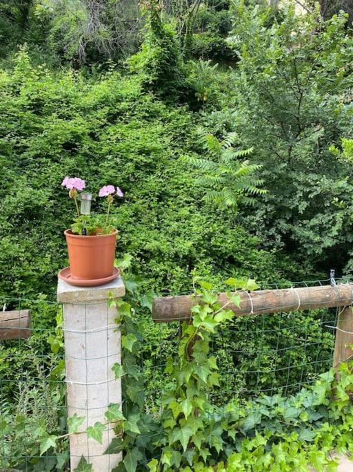Villa Serenice - F2 Au Calme, Climatise, Wifi Et Parking Gratuit Luaran gambar